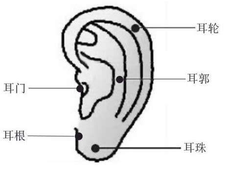 耳朵痣的位置|耳朵长痣的位置图解 耳朵长痣的位置图解有福气